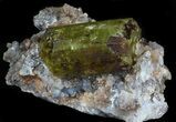 Apatite Crystal In Matrix - Durango, Mexico #33844-3